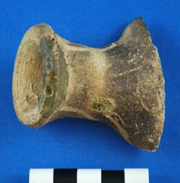 Description: Description: C:\Users\MPS\Documents\Web Page\FEAX-3-736 (F)-Saintonge bottle rim and neck.jpg